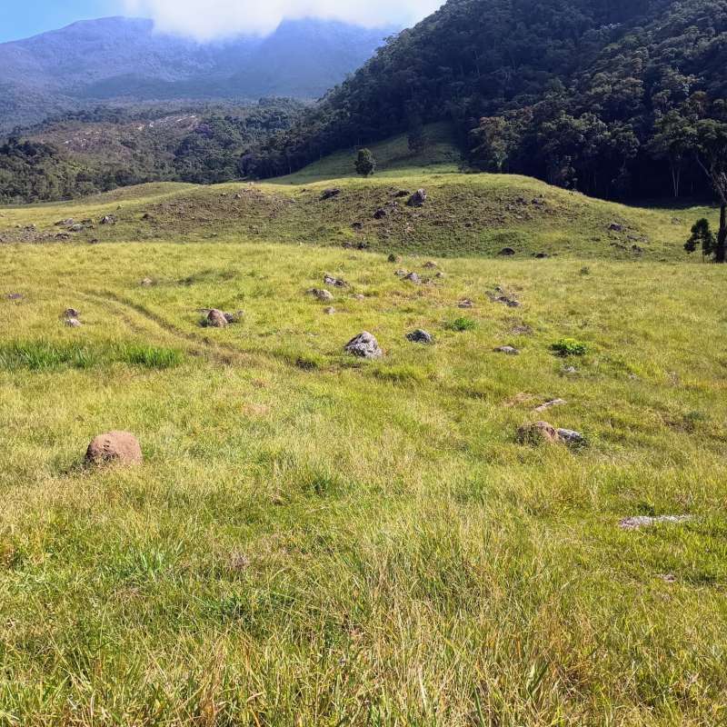 Sítio à Venda no bairro Zona Rural em Rio Preto imagem 21