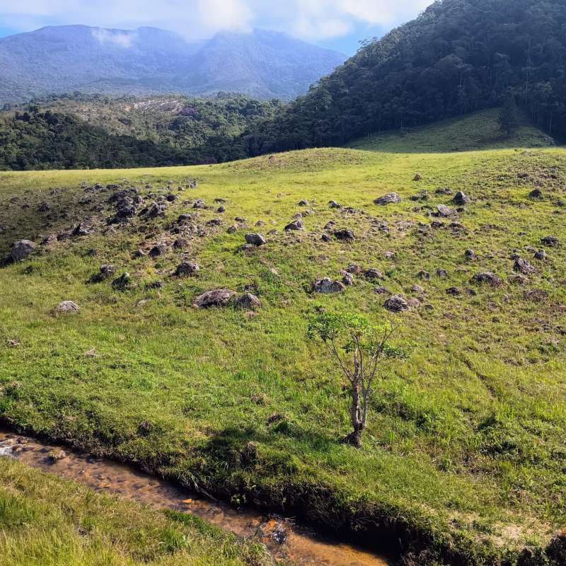 Sítio à Venda no bairro Zona Rural em Rio Preto imagem 22