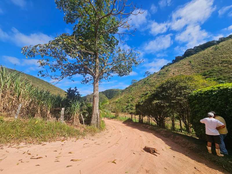 Sítio à Venda no bairro Zona Rural em Rio Preto imagem 15