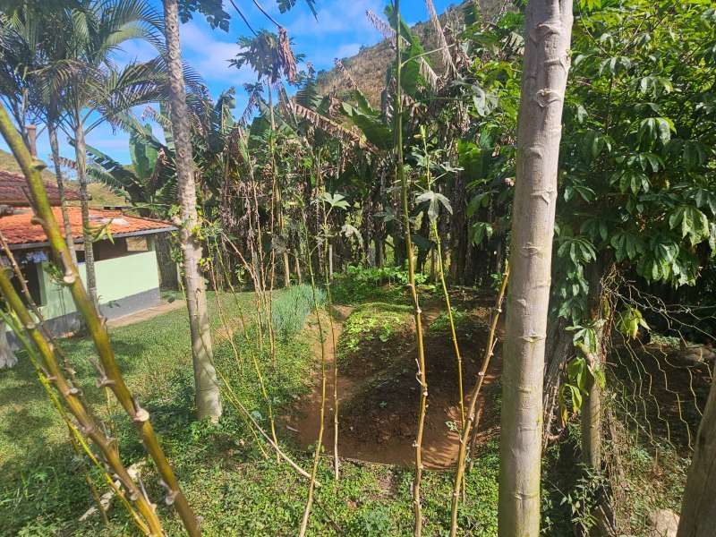 Sítio à Venda no bairro Zona Rural em Rio Preto imagem 14