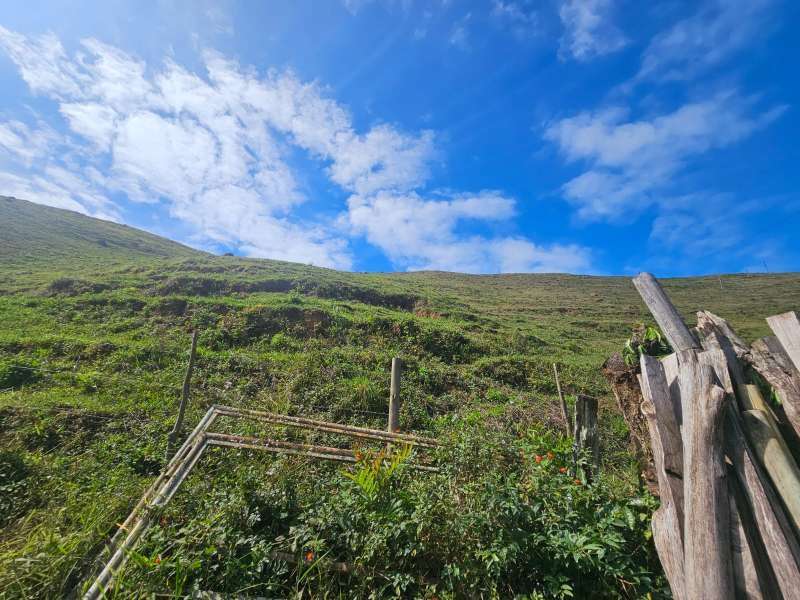 Sítio à Venda no bairro Zona Rural em Rio Preto imagem 2